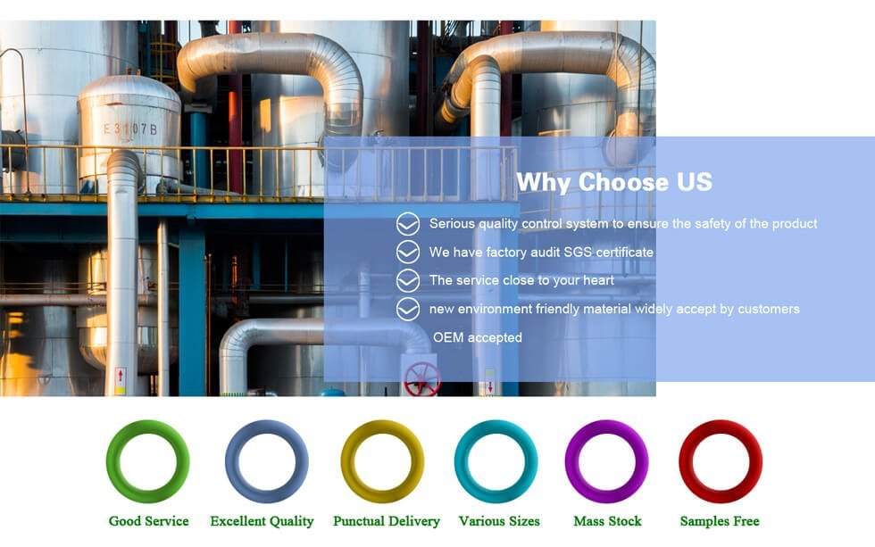 CHOOSE Silico®